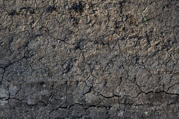 Wall Mural - texture and background of cracked earth, soaked by the rain