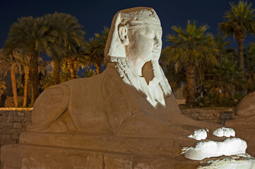 Poster - Avenue of sphinx statue at Luxor Temple during night