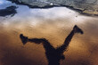 Sunrise reflection of runner jumping over a large puddle while running in an urban environment.