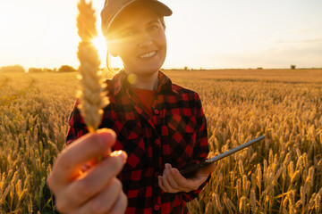 Wall Mural - A woman farmer with a digital tablet stands in a agricultural field at sunset and looks at the camera.