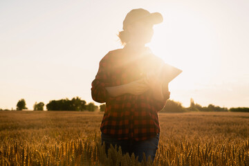 Silhouette of a woman farmer with a digital tablet in a wheat field. Smart farming and precision agriculture