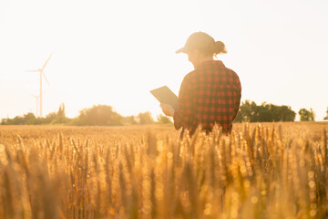 Poster - Woman farmer stands in a wheat field at sunset and works with a digital tablet. Smart farming and precision agriculture