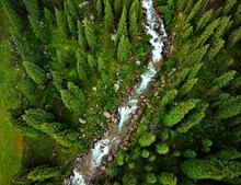 Aerial Shot Of The River In The Green Forest