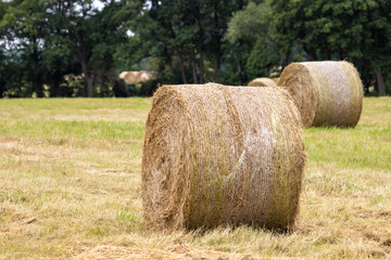 on  mowed meadow lie pressed round bales of hay