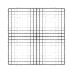 Wall Mural - amsler eye test grid. oculist vector printable chart retina examination. grid with dot in centre. vi
