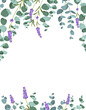 Eucaliptus and lavender elements design template. Simple design with frame flowers. Herbal vector frame