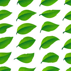 Wall Mural - Leaves seamless pattern 