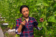 © JackF - Latina harvesting ripe bean in farm glasshouse