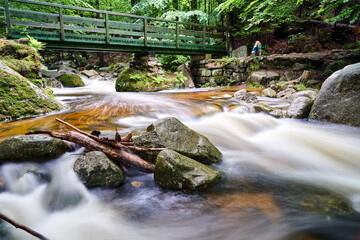 Wall Mural - Wooden footbridge over a mountain stream in a forest in the Giant Mountains