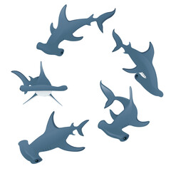 Wall Mural - Hammerhead sharks swim in a circle underwater giant animal simple cartoon character design flat vector illustration on white background