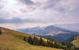 Fototapeta Dmuchawce - A beautiful mountain landscape with road, fir trees, mountain peaks and a fabulous sky.