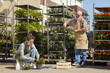 © Seventyfour - Full length portrait of two cheerful workers caring for potted flowers in farm or plantation lit by sunlight, copy space