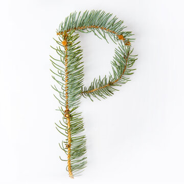Letter P from green christmas-tree isolated on white. Natural Letter P, stylish alphabet. Handmade abc. Text from spruce. Christmas winter Sale. X-mas numbers. Winter font. 