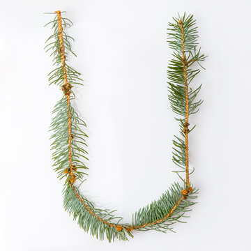 Letter U from green christmas-tree isolated on white. Natural Letter U, stylish alphabet. Handmade abc. Text from spruce. Christmas winter Sale. X-mas numbers. Winter font. 