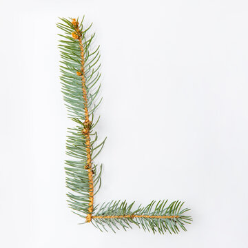 Letter L from green christmas-tree isolated on white. Natural Letter L, stylish alphabet. Handmade abc. Text from spruce. Christmas winter Sale. X-mas numbers. Winter font. 