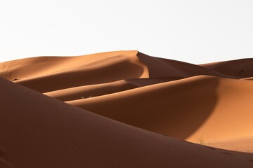 Poster - Beautiful scenery of sand dunes in a desert area on a sunny day