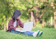 © JU.STOCKER - Smiling girl sitting on the grass studying with laptop in the park, Outdoor learning concept