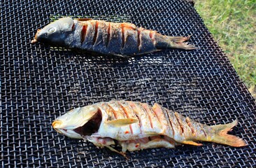 Closeup shot of two sliced fish on an outdoor grill