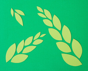 abstract green paper leaves