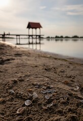 Canvas Print - Shallow focus shot of seashells on sand with a blurry background of the ocean