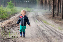 Cute Adorable Little Blond Caucasian Toddler Boy Walking Alone By Rural Country Sand Road On Ranch Or Farm At Coniferous Forest In Sunrise Morning. Small Kid Exploring And Discover Nature Outdoors