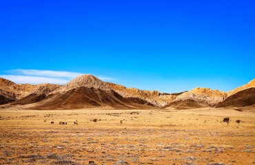 Poster - Picture of rocky mountains in Namibia, Africa