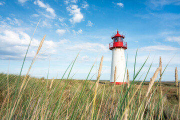 Wall Mural - lighthouse list west on the island of sylt, schleswig-holstein, germany