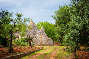 Trulli with olive grove. Val d'Itria - Puglia (Apulia) - Italy