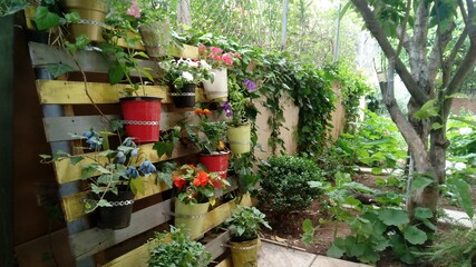 Poster - Variety of plants in buckets attached to the wooden pieces on the wall