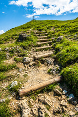 Canvas Print - steps at a forest