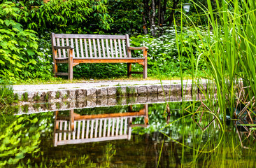 Wall Mural - wooden park bench