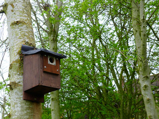 A tree-mounted nesting box for wild birds in Whitchurch Waterways Country Park in the rural market town of Whitchurch, north Shropshire, UK