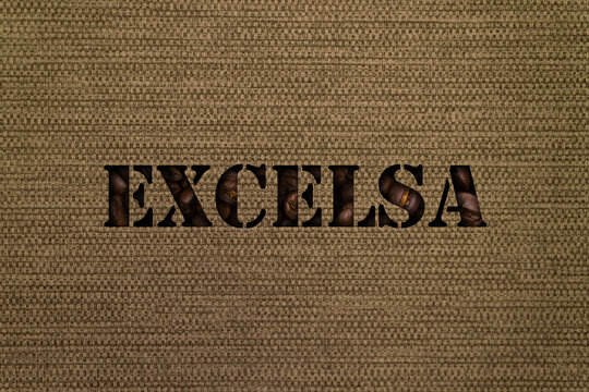 Excelsa text made up of coffee beans on a canvas background