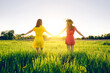 Two girls hold hands and walk in nature. Summer evening in the field