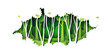© Man As Thep - Green jungle tropical rain forest nature landscape background paper art style.Vector illustration.
