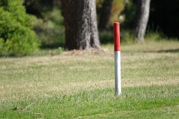 Wall Mural - Selective focus shot of a golf course without a flag in golf field