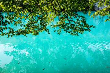 Picturesque morning in Plitvice National Park. Colorful spring scene of green forest with pure water lake. Great countryside view of Croatia, Europe