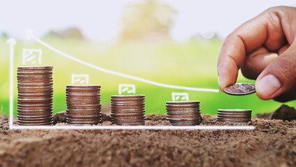 Poster - saving money hand putting coins on stack on soil with sunshine. concept finance and accounting