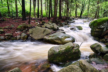 Wall Mural - Rocks and boulders in the mountain stream in the forest in the Giant Mountains