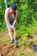 © Olga Soloveva - Work in the garden. Woman plants spruce
