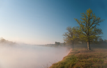  early morning by the river