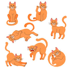 Poster - Cartoon Color Cat Icon Set with Lineart Elements. Vector