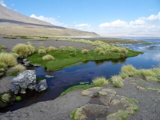 Wall Mural - Mossy beach on the background of mountains under blue sky