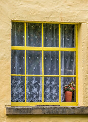 Wall Mural - Fenster