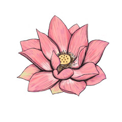 Sticker - Pink lotus flower decor 300 dpi digital art