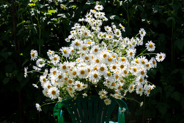 Wall Mural - Country plastic green chair with a huge bouquet of daisies