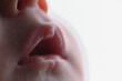 © Luiz - Foto em detalhe da boquinha de um bebê