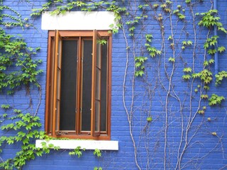 Sticker - Beautiful shot of a blue building wall with a decorative plant