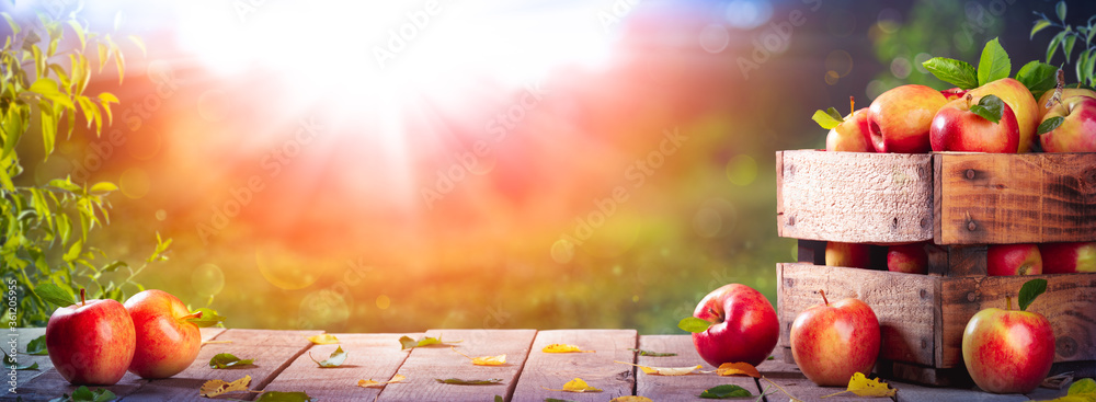 Apples In Wooden Crate On Table At Sunset - Autumn And Harvest Concept - obrazy, fototapety, plakaty 