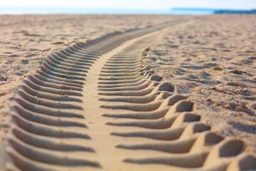 Poster - Tire tracks on the sand